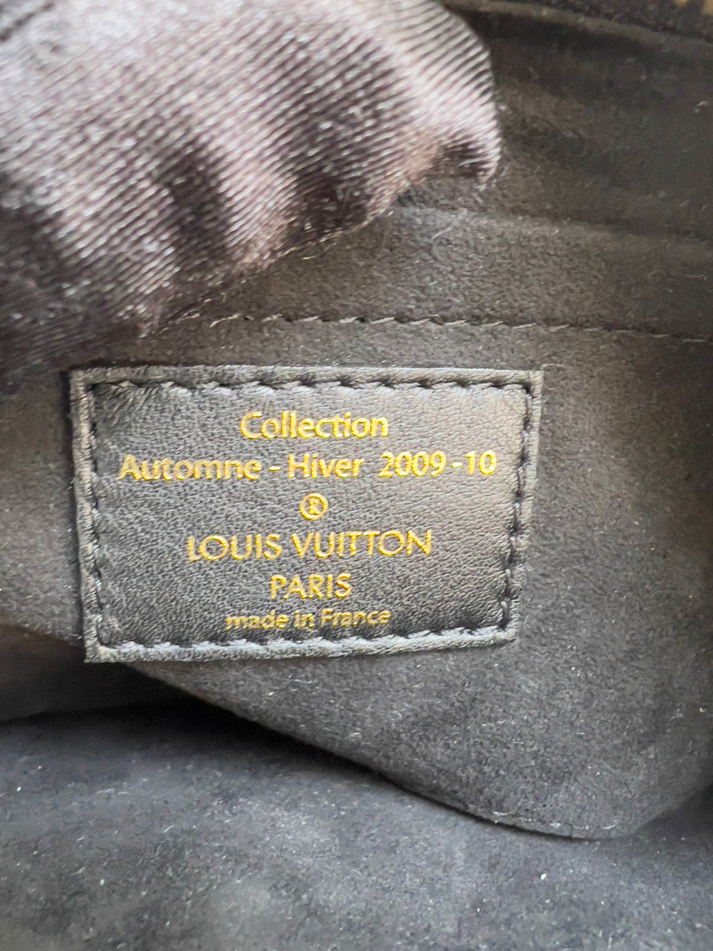 Pre-Owned Louis Vuitton monogram eclipse pochette accessories big size