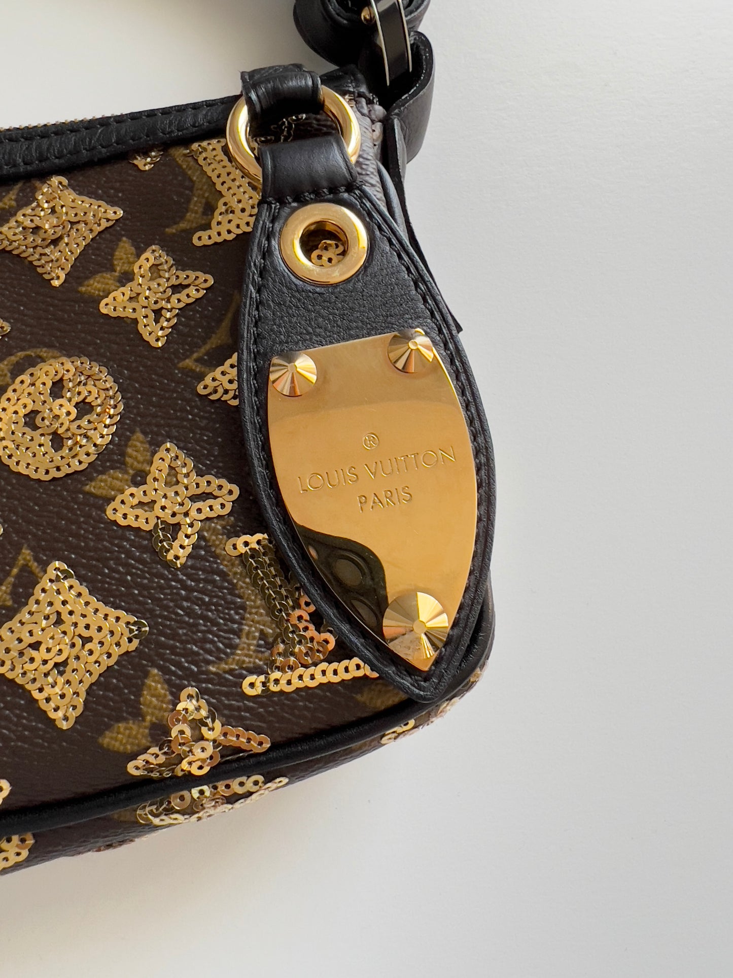 Pre-Owned Louis Vuitton monogram eclipse pochette accessories big size