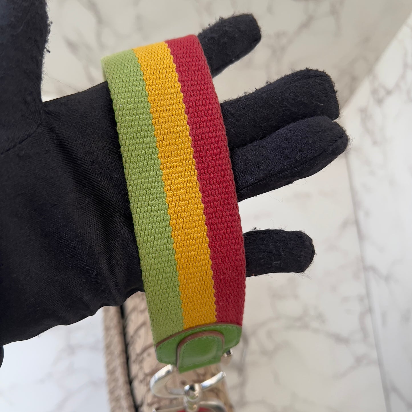 Dior Rasta saddle bag