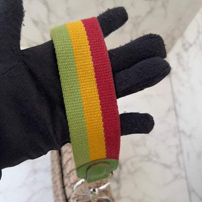 Dior Rasta saddle bag