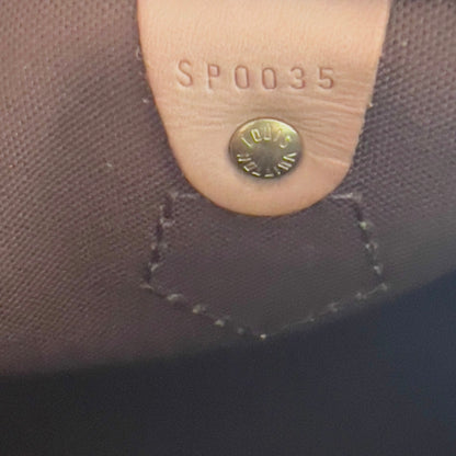 Louis Vuitton Monogram Cherries Speedy 25