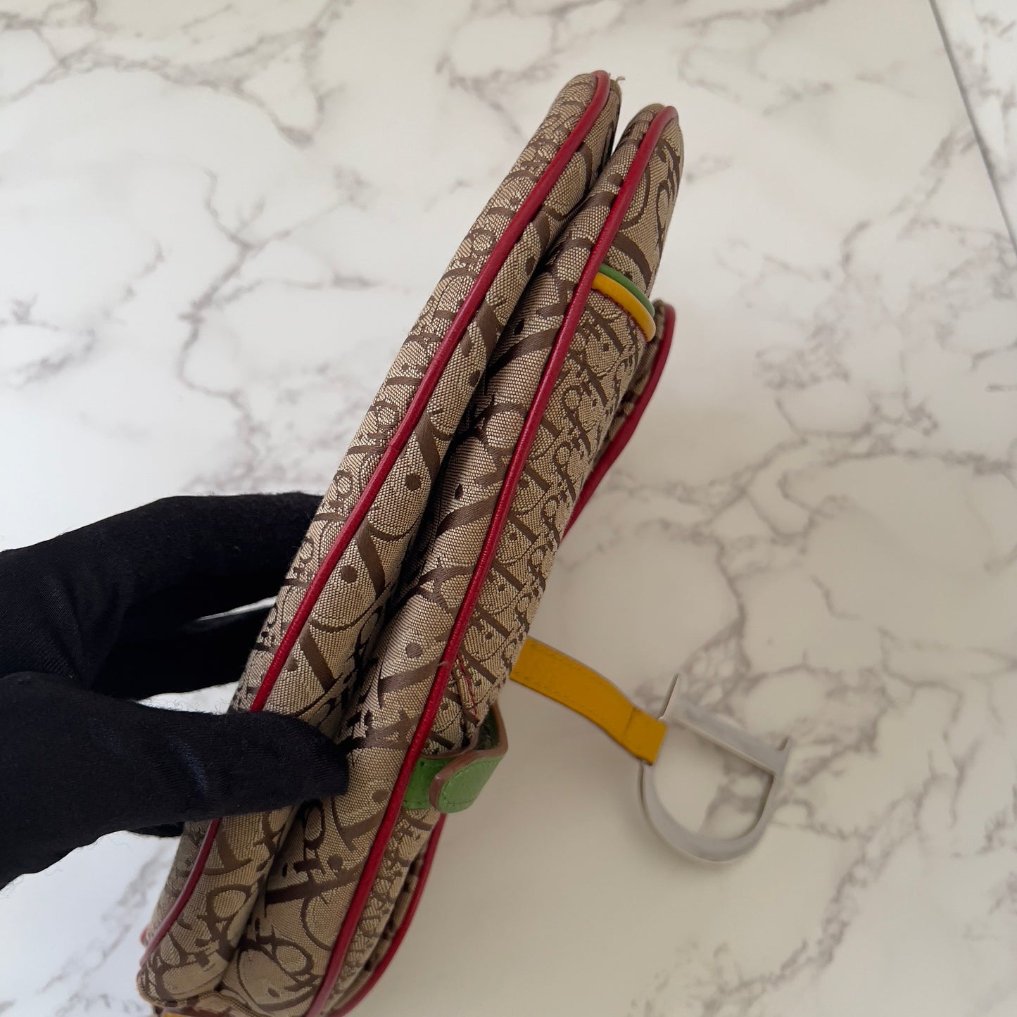Dior Rasta saddle bag
